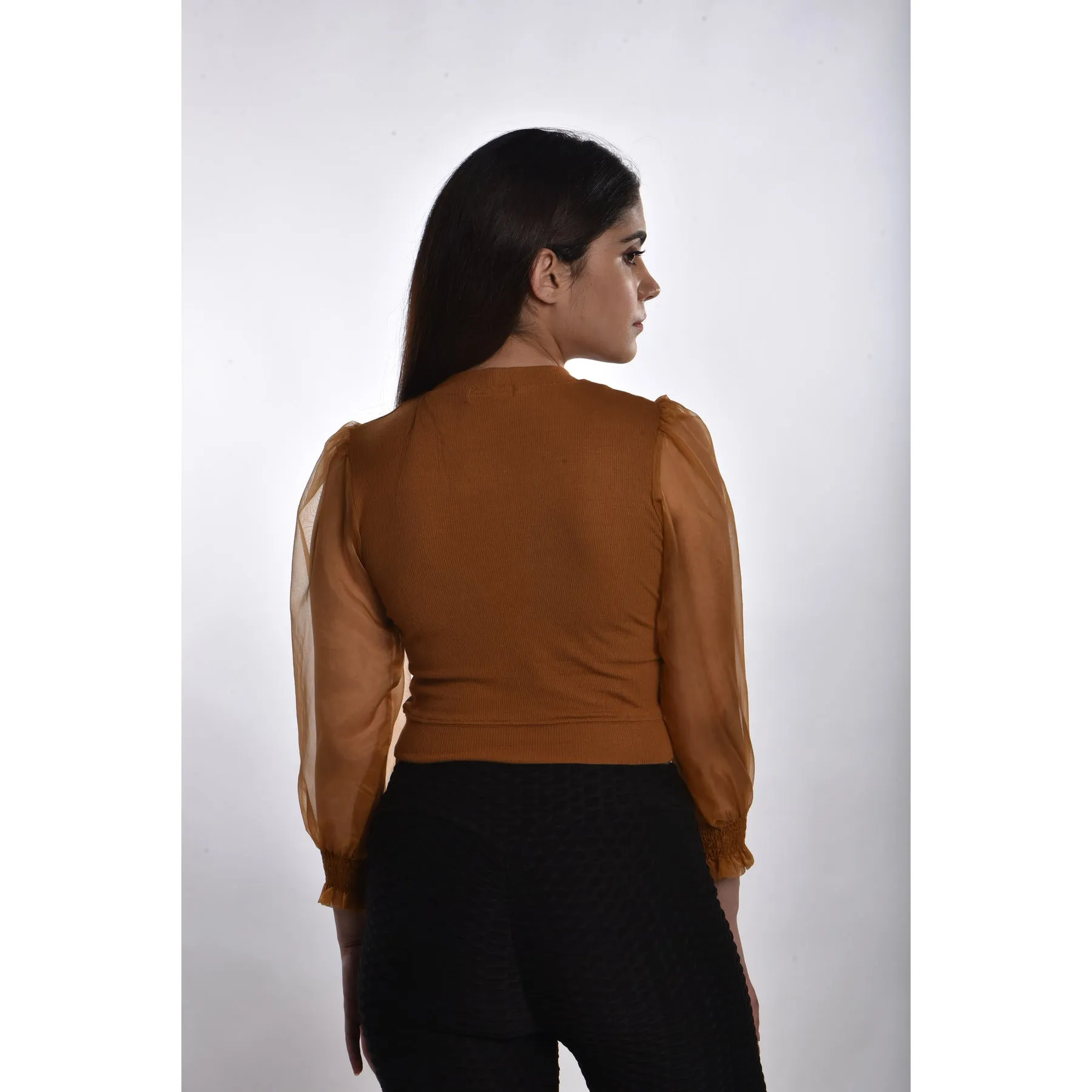 Hosiery Blouses with Puffy Organza Full Sleeves