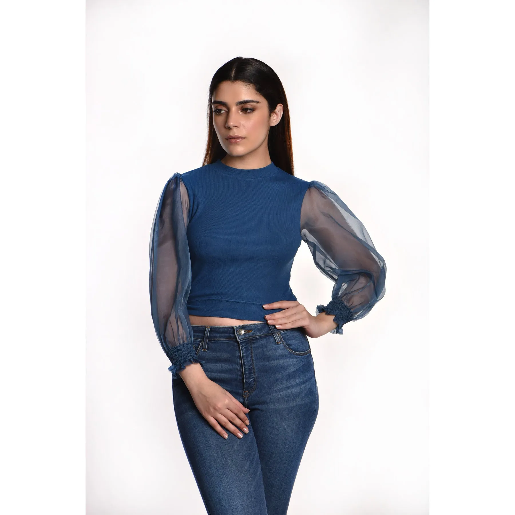 Hosiery Blouses with Puffy Organza Full Sleeves