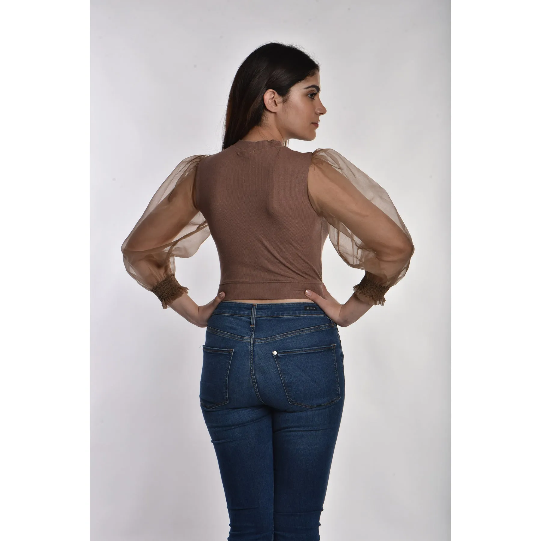 Hosiery Blouses with Puffy Organza Full Sleeves
