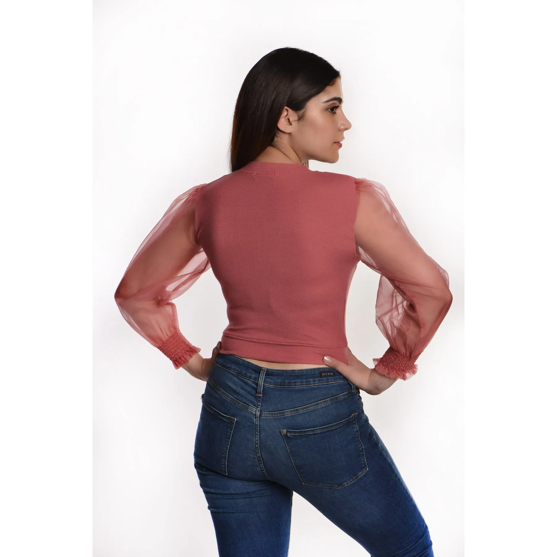 Hosiery Blouses with Puffy Organza Full Sleeves