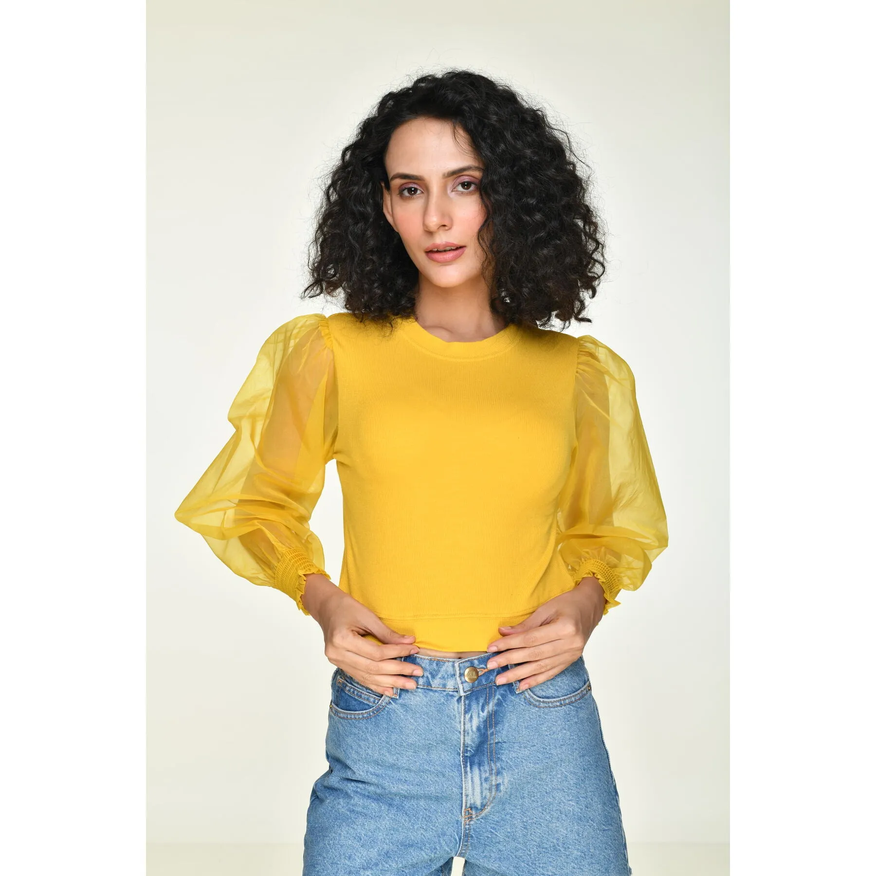 Hosiery Blouses with Puffy Organza Full Sleeves