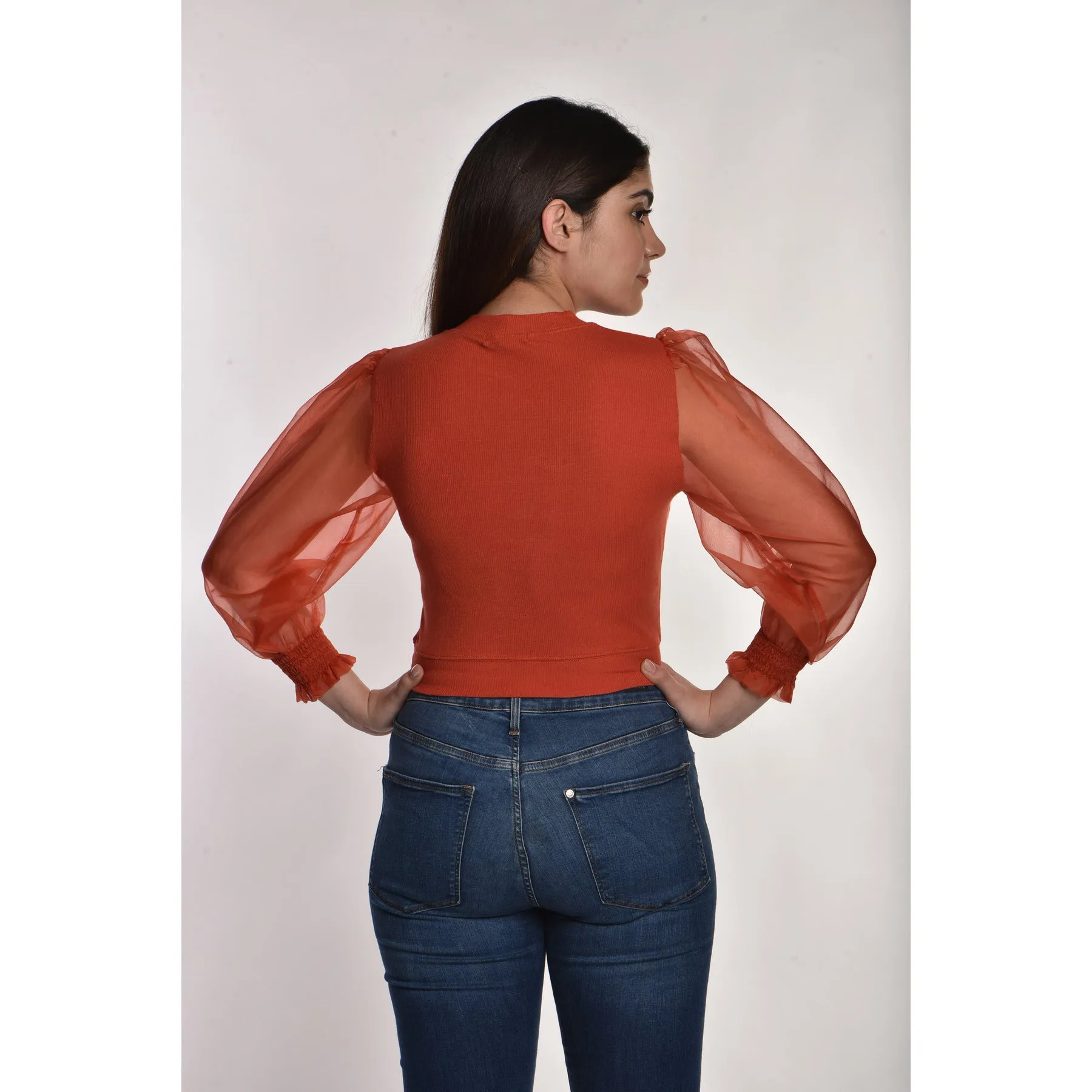 Hosiery Blouses with Puffy Organza Full Sleeves
