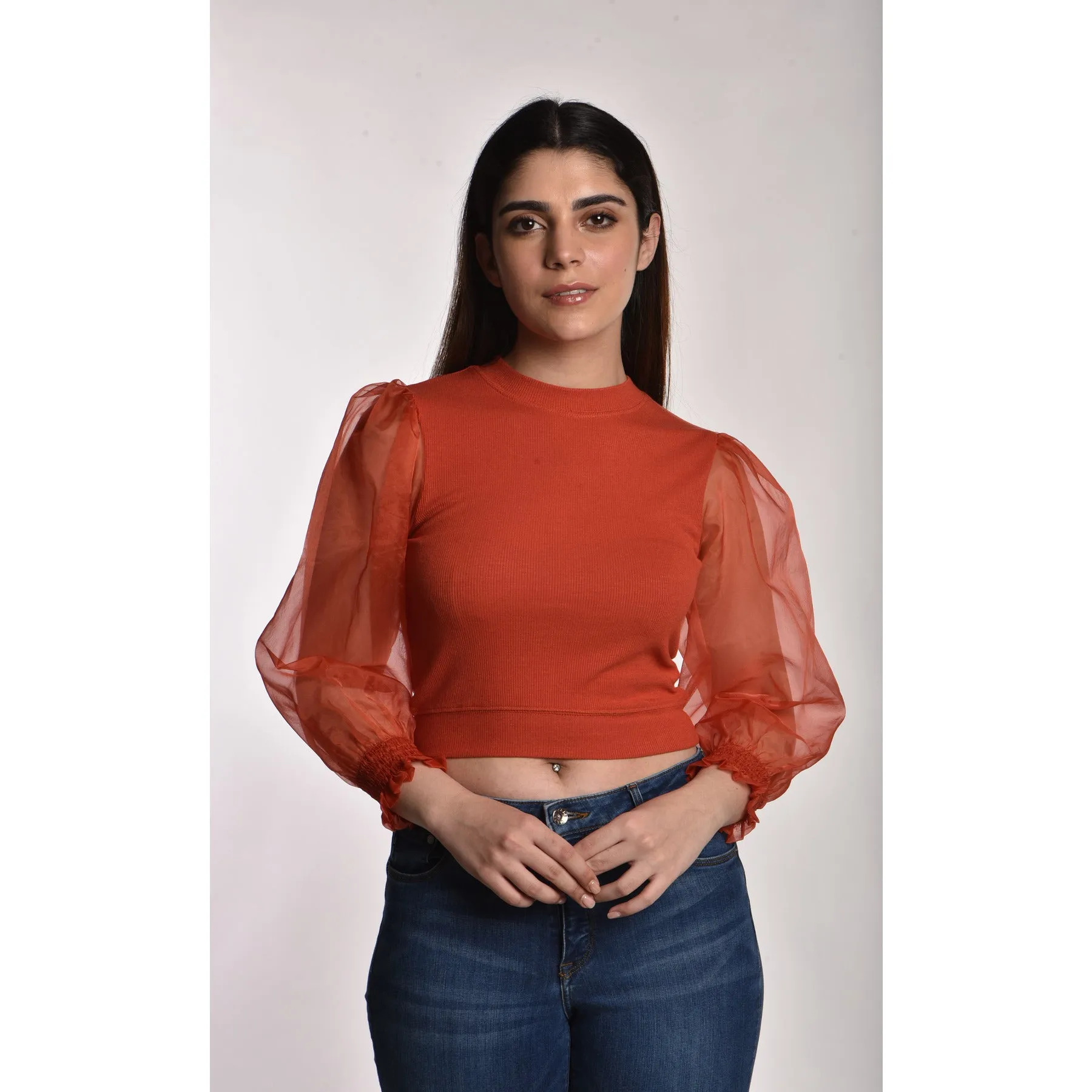 Hosiery Blouses with Puffy Organza Full Sleeves