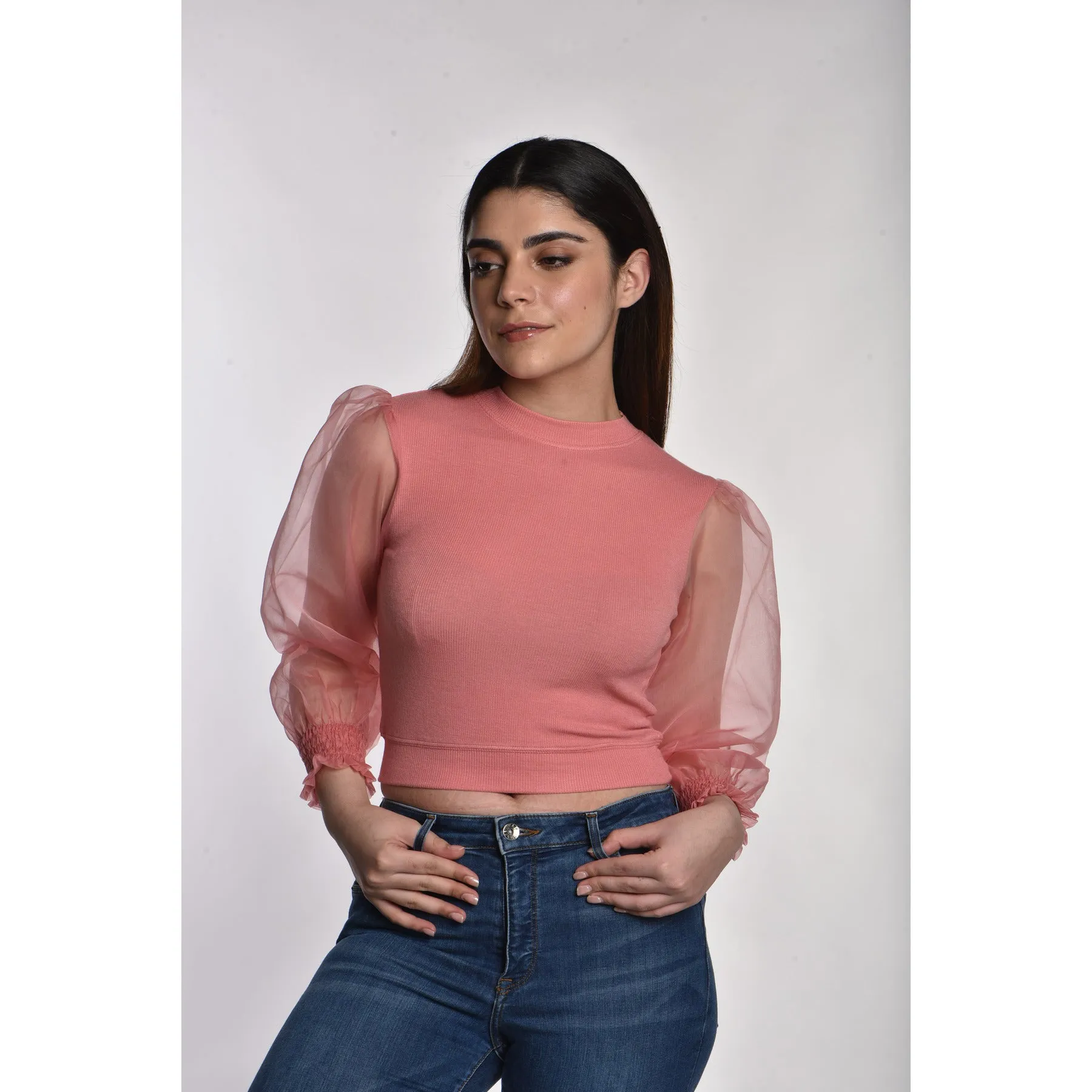 Hosiery Blouses with Puffy Organza Full Sleeves