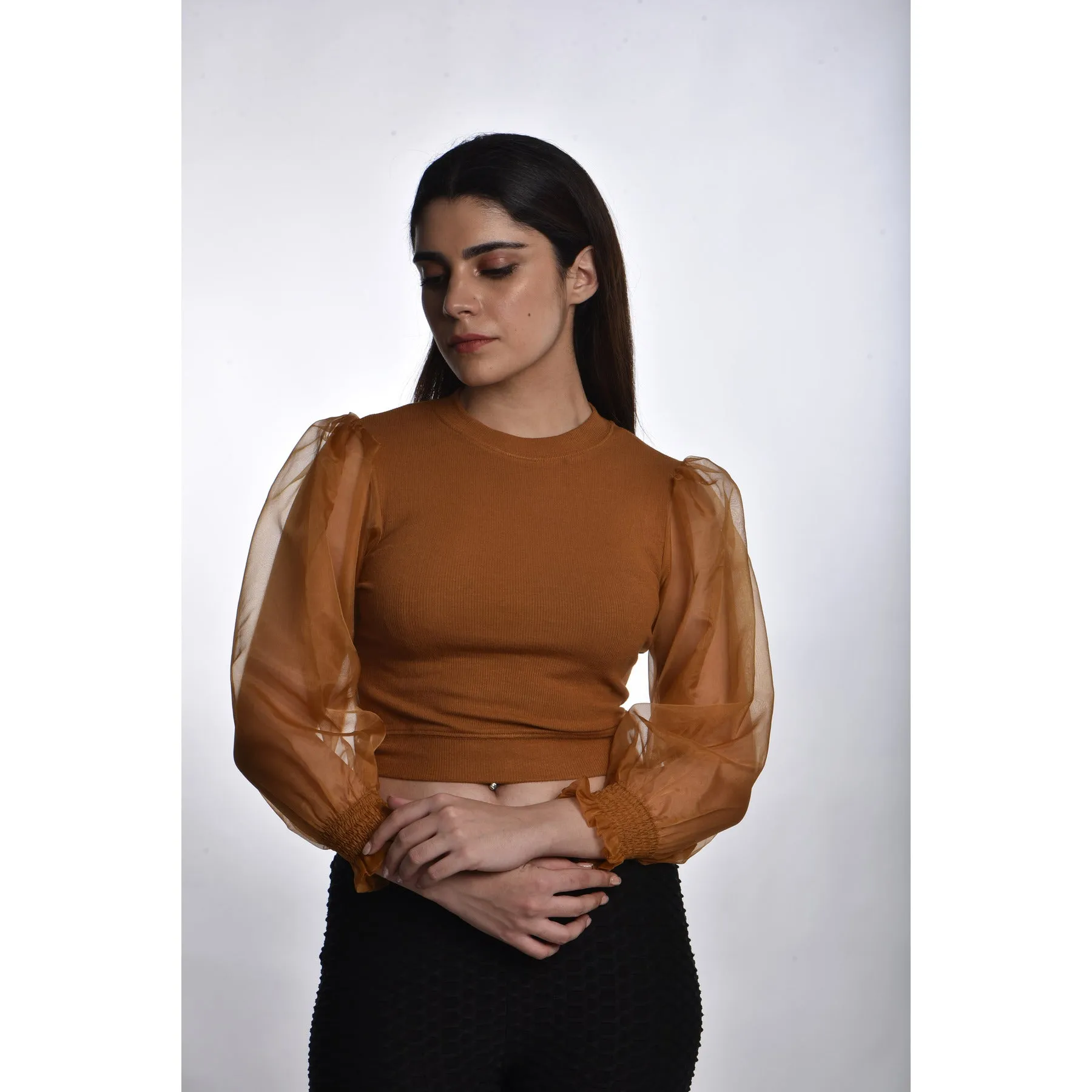 Hosiery Blouses with Puffy Organza Full Sleeves