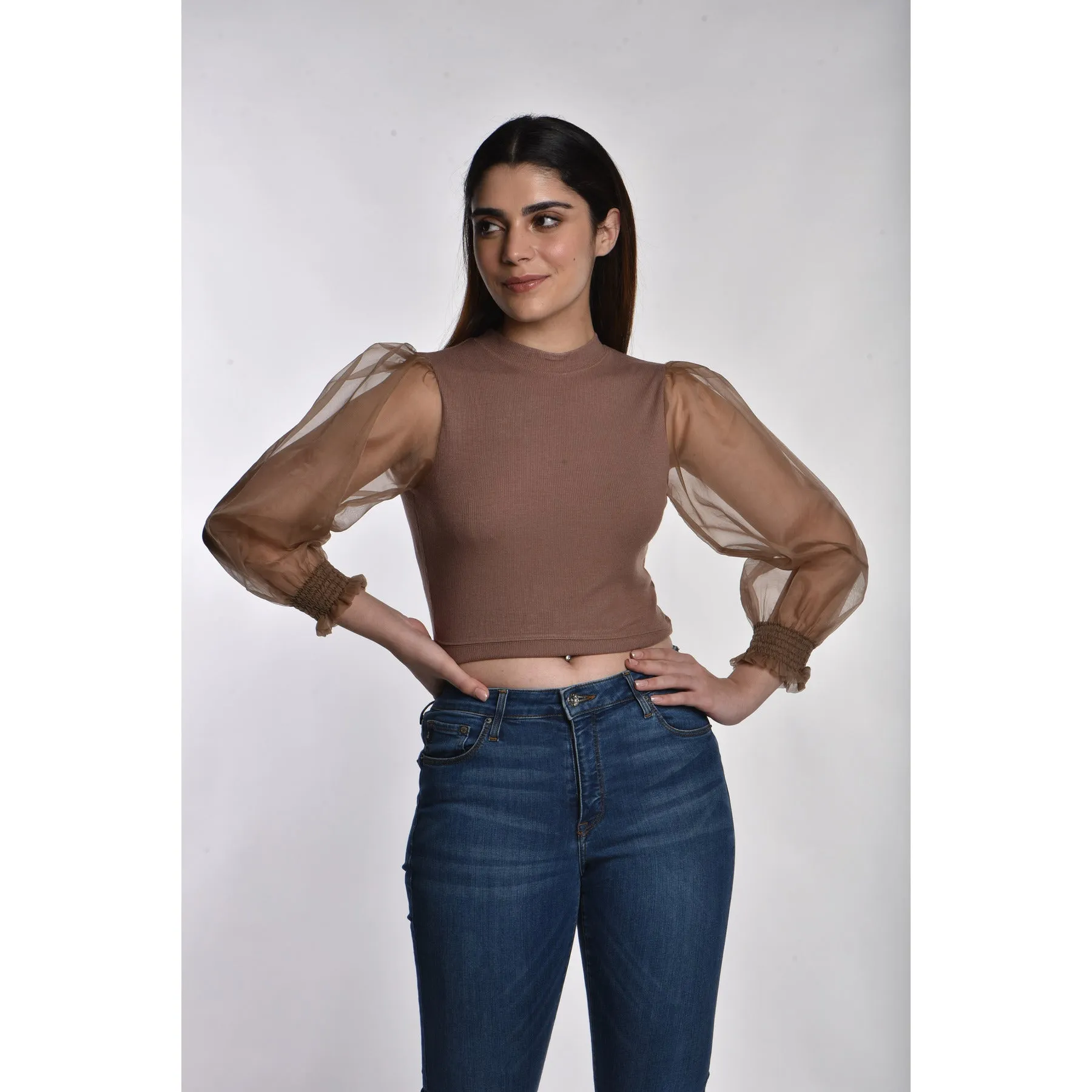 Hosiery Blouses with Puffy Organza Full Sleeves