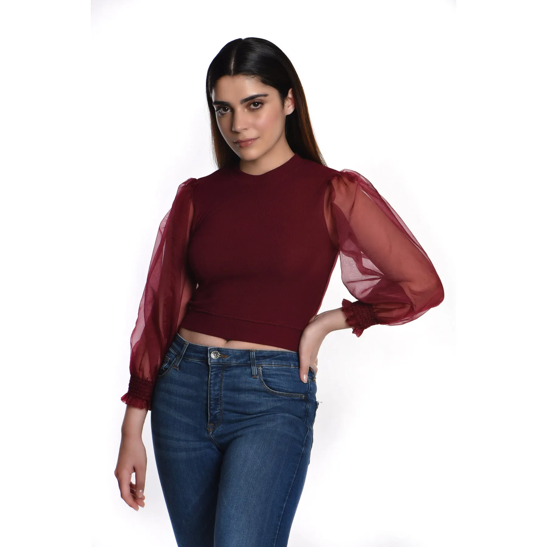 Hosiery Blouses with Puffy Organza Full Sleeves
